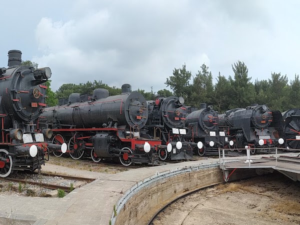Tren müzesi çamlık